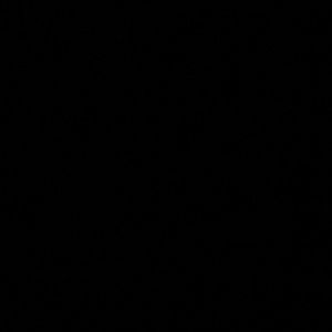 Meet your Posher, Hanna